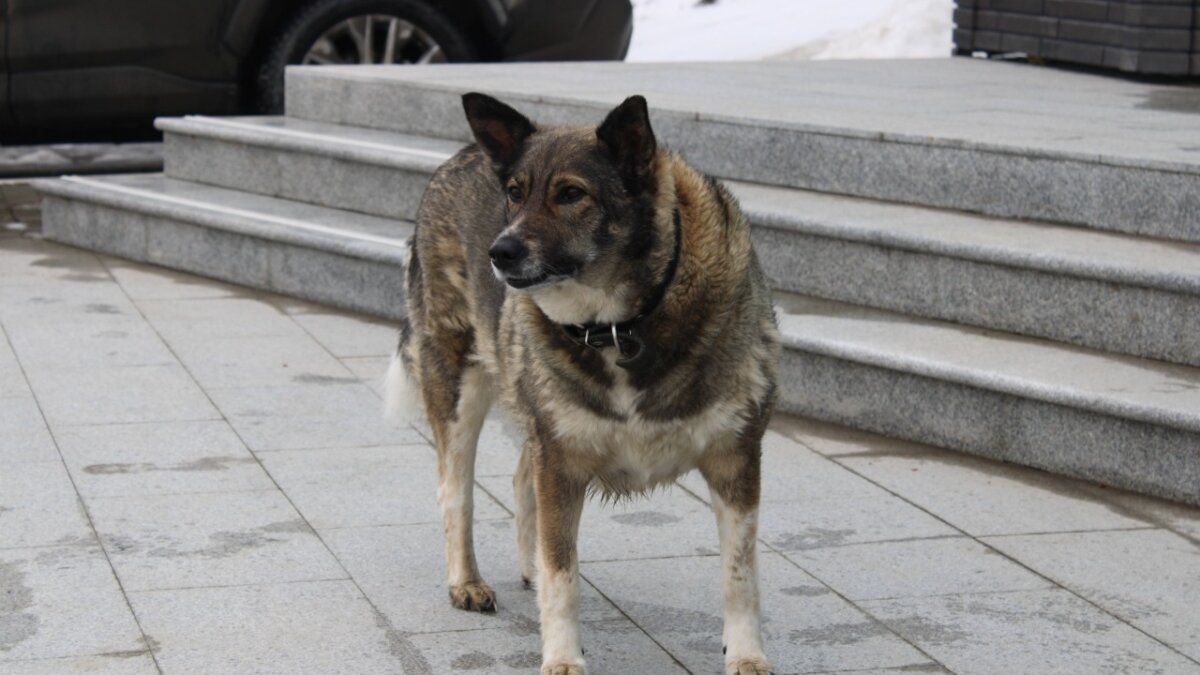ИА SM News Екатеринбург📷
