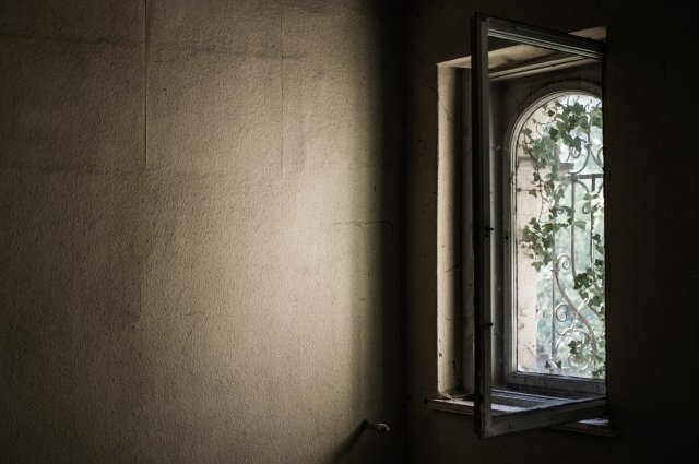    Что известно о женщине, выкинувшей внучку из окна в Нижегородской области?