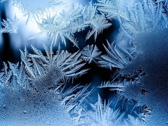     Фото freepik