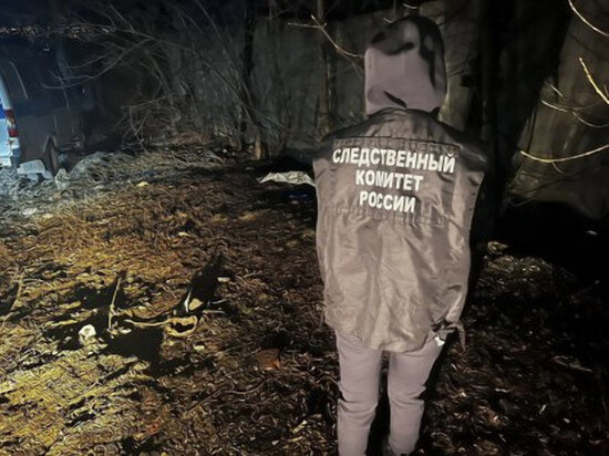     Фото: Следственный комитет по Саратовской области