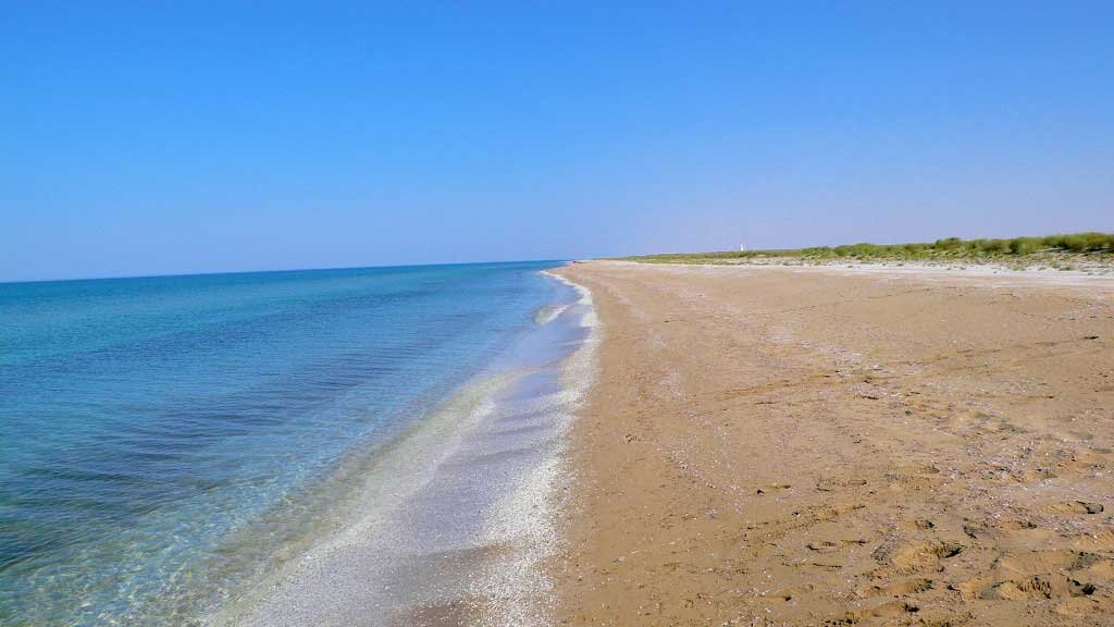 Взято из открытых источников