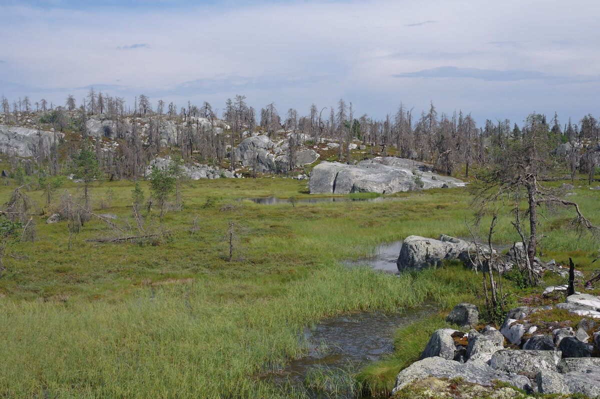                                               все ближе к сейдам 