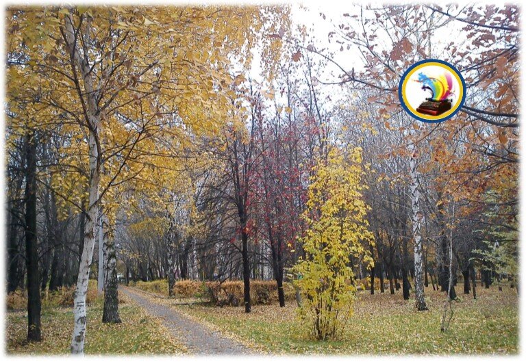 Березки-красавицы. Ну вот как, скажите, можно лишить их жизни?