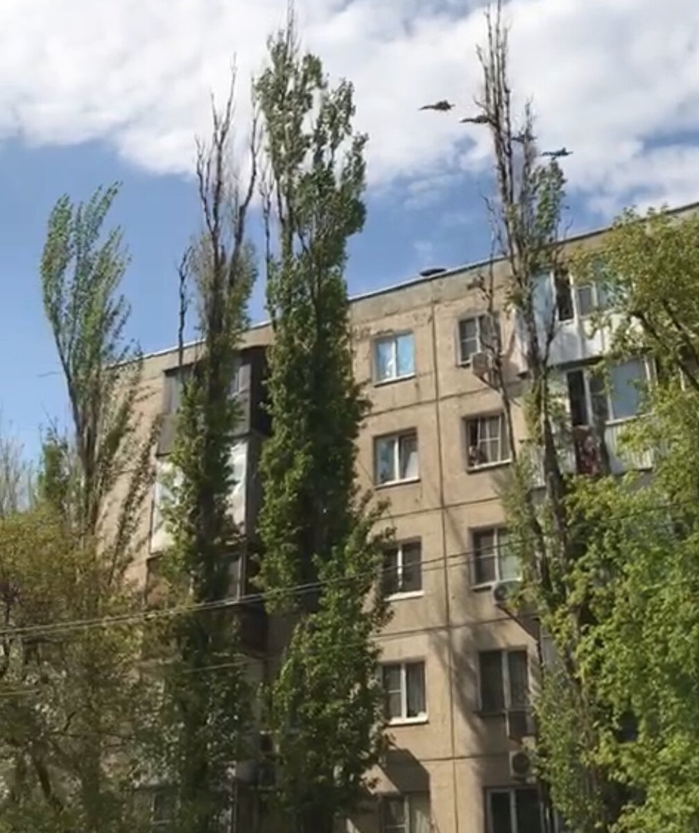 3 квартиры из 12 снимала в таких 5-ти этажных домах