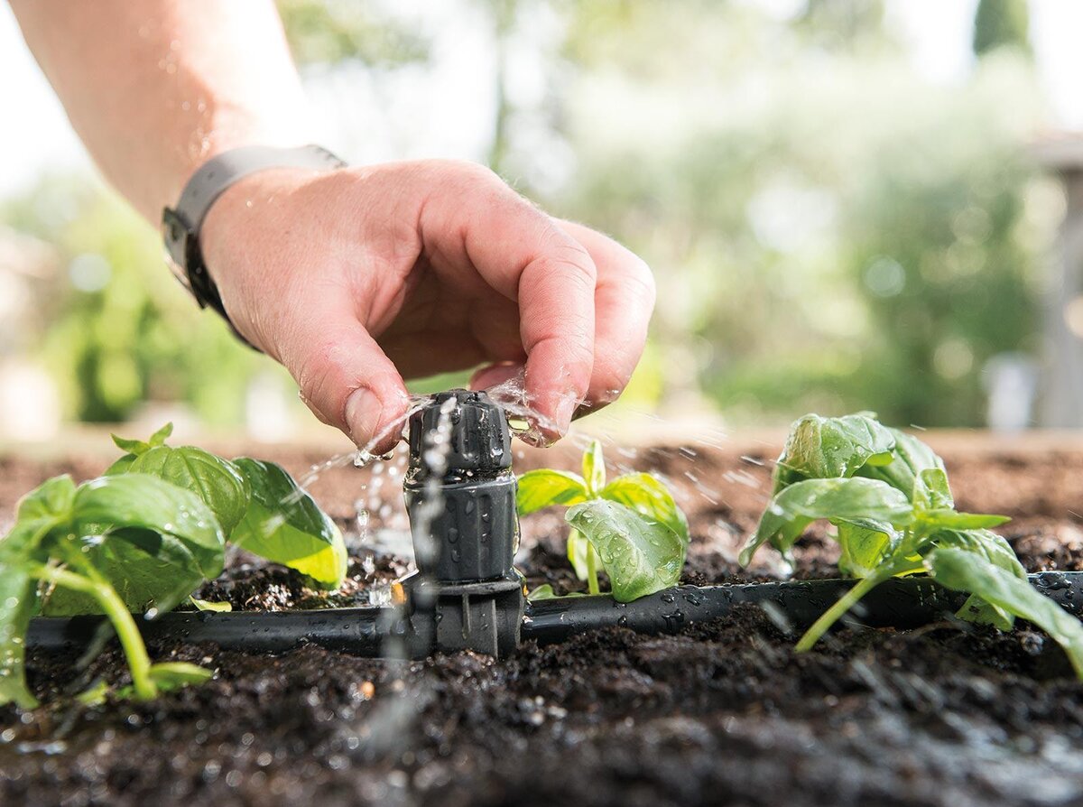 Автополив на даче - Информационные статьи - Газон Сервис Irrigation