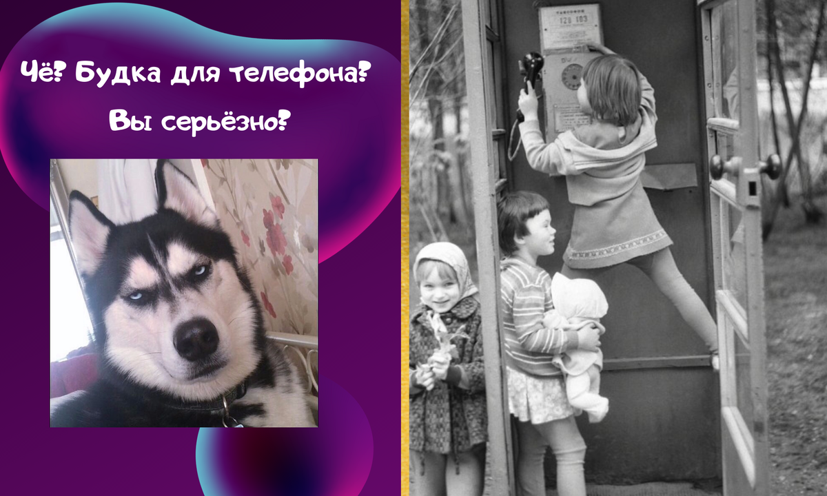 Миллионер, меценат и отец бульварной прессы. Вы знаете кто это ? | Код  ДОВЕРИЯ | Дзен