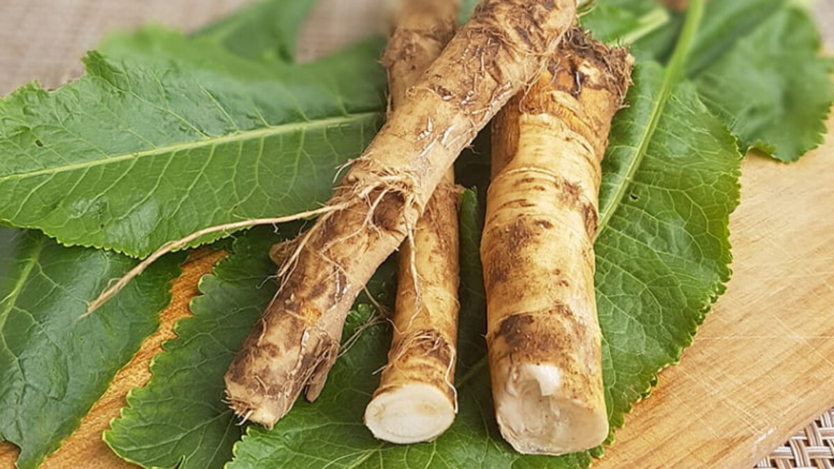 Яндекс картинки