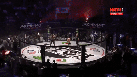 Умиев атакует. GIF взято из свободного доступа
