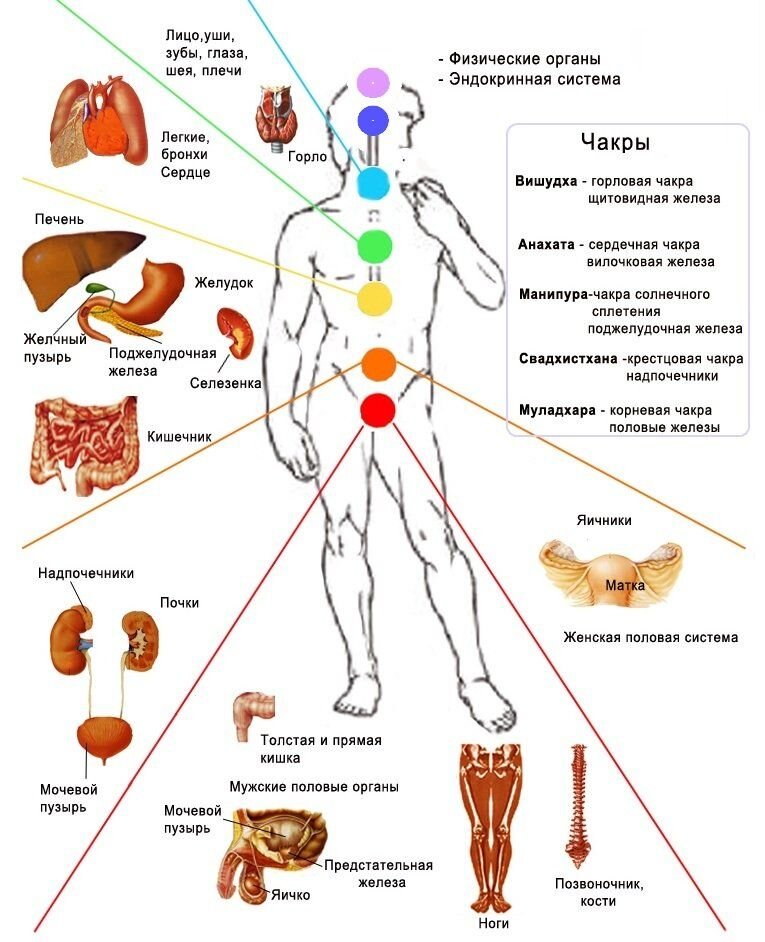 Энергетические центры (чакры)