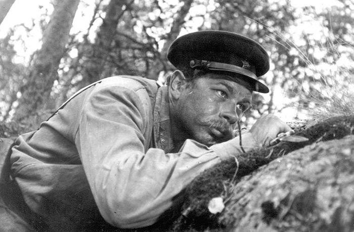 фото взято из открытых источников 