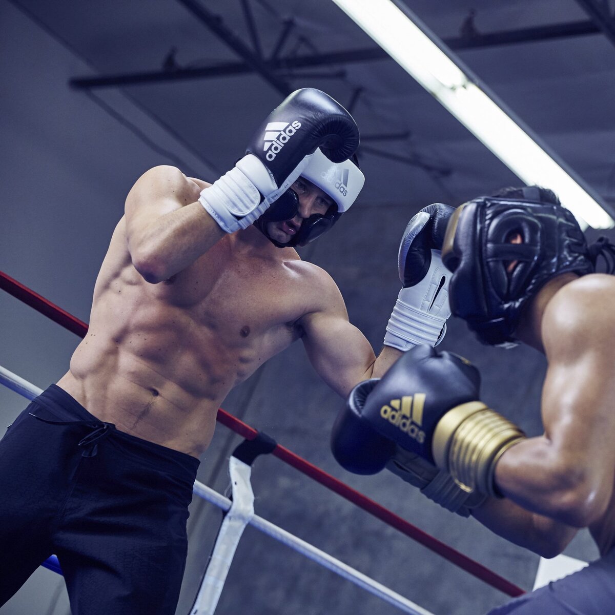 Профессиональные боксеры в боксерских перчатках adidas Hybrid 300