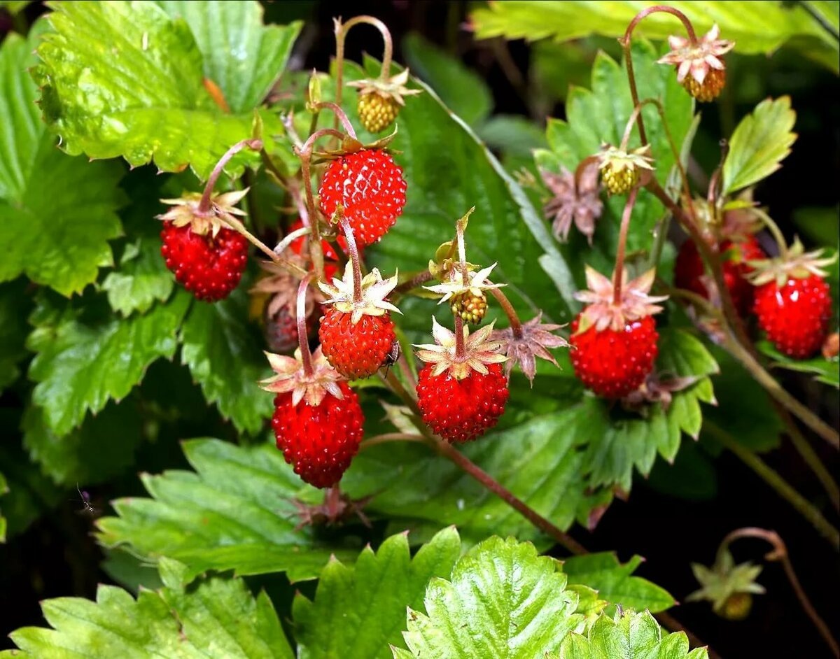 фото https://avatars.mds.yandex.net