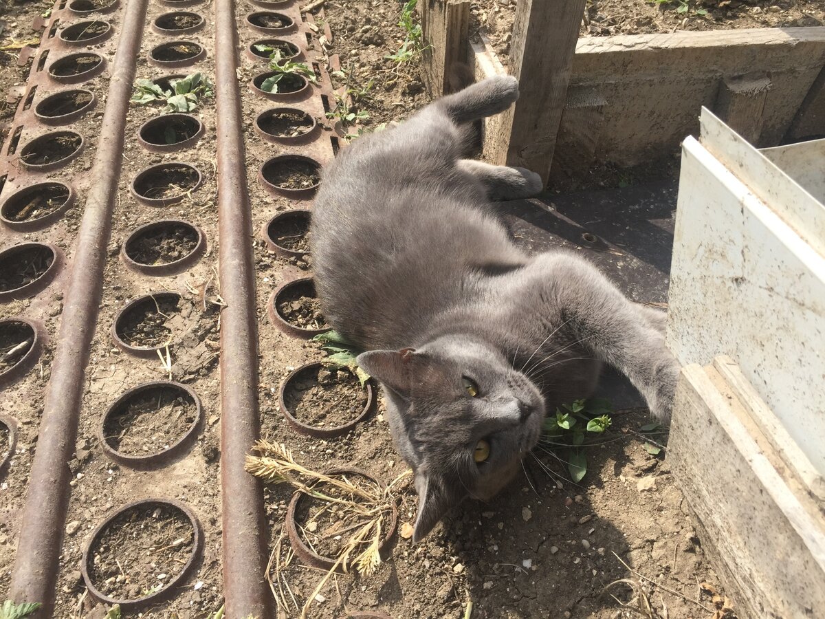 Фото из личного архива.