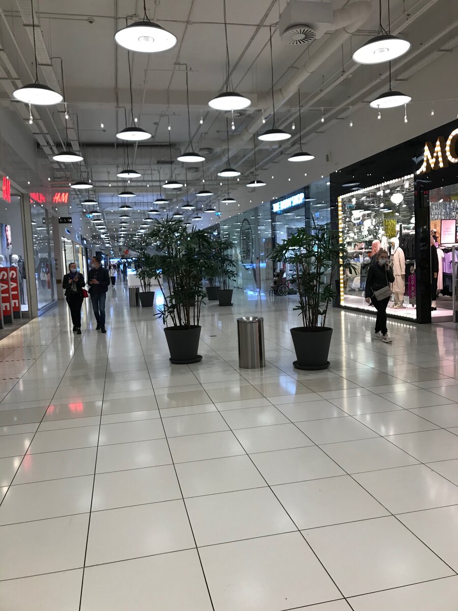 Открылись, милые