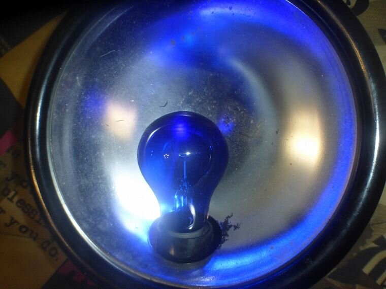 Можно греть ухо синей лампой. Лампа ультрафиолет "синяя лампа Минина". Лампа для прогревания уха. Синяя лампа СССР. Синяя лампа для прогревания ушей.