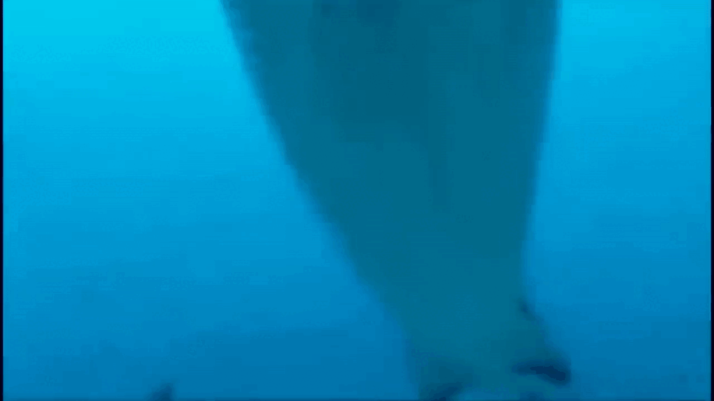 Источник: youtube.com 