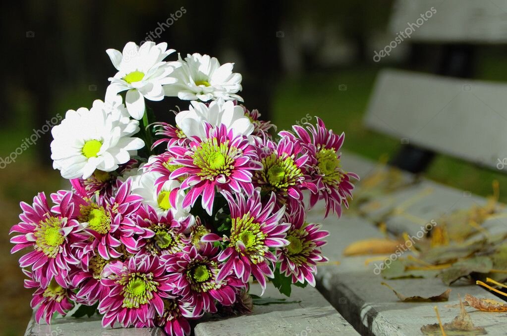 Фото из общедоступной сети Интернет