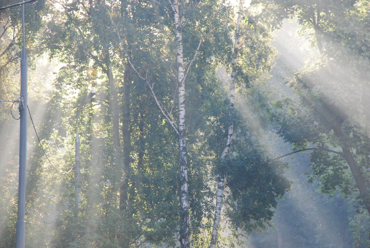 Из личного архива