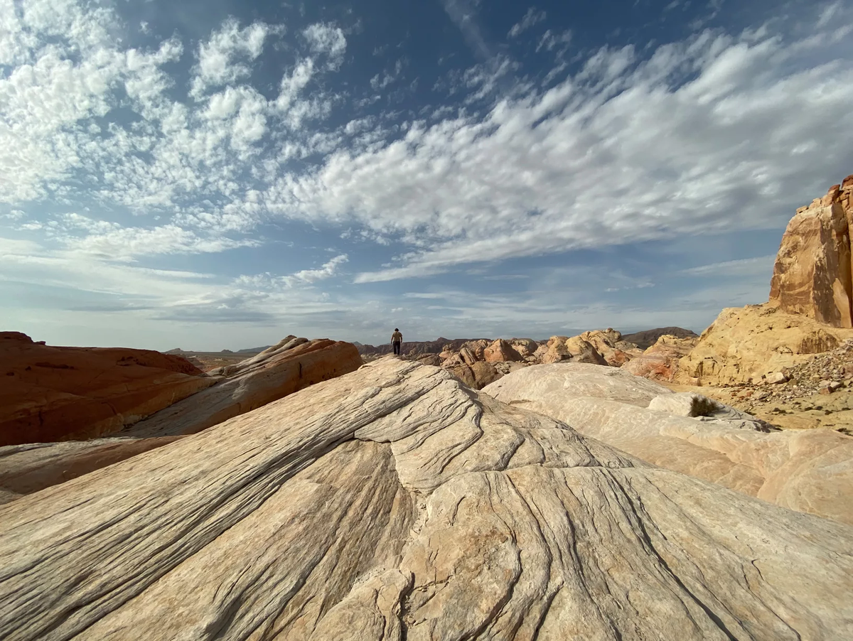 Пример снимка на iPhone 11 Pro