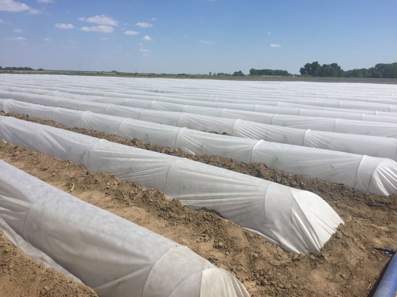 Ист: glavpostroy.ru