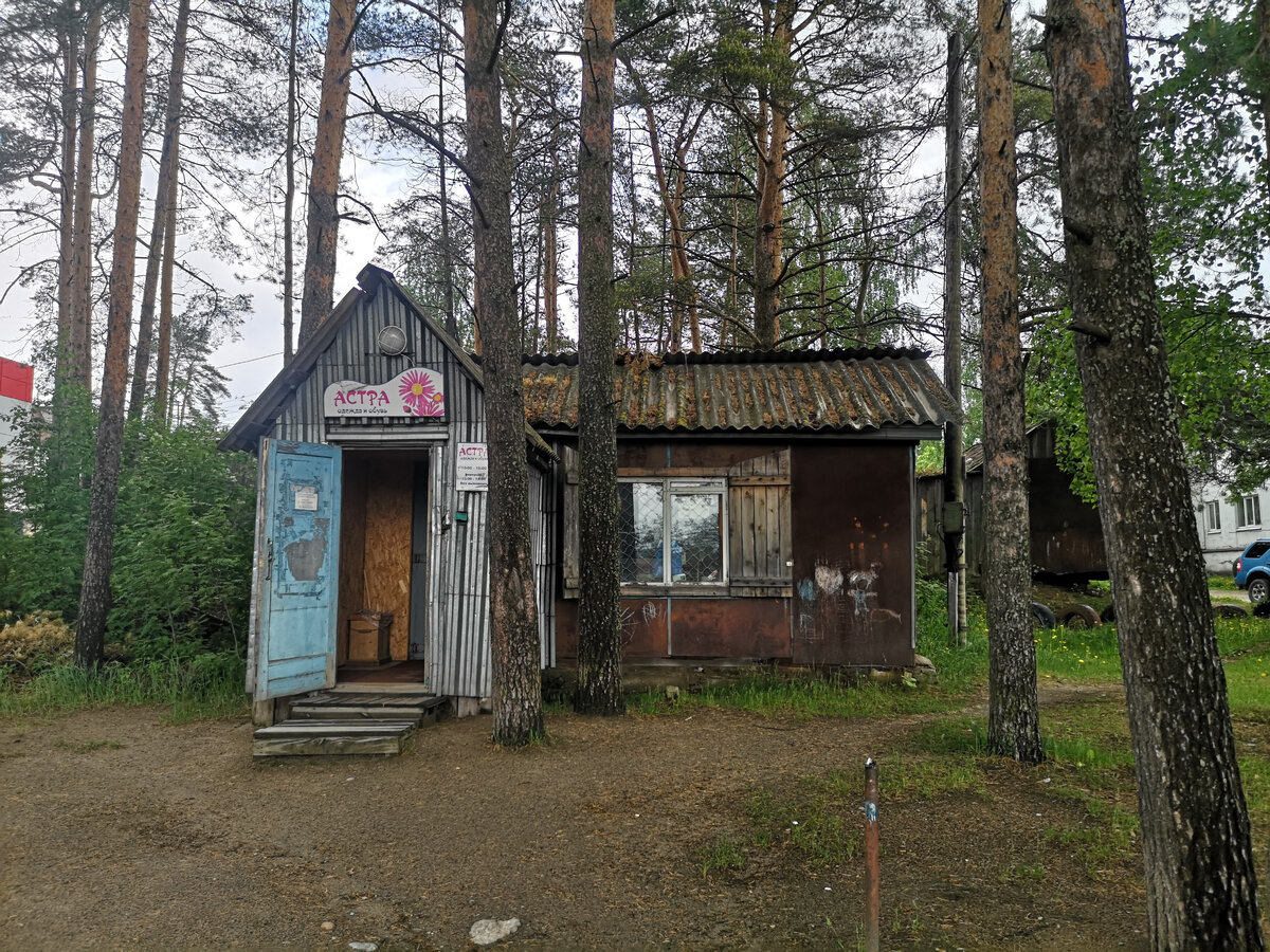 Прогулялся по центру полуразрушенного посёлка Эссойла, как здесь живут люди? Ответил Алексей (таксист), мы здорово…