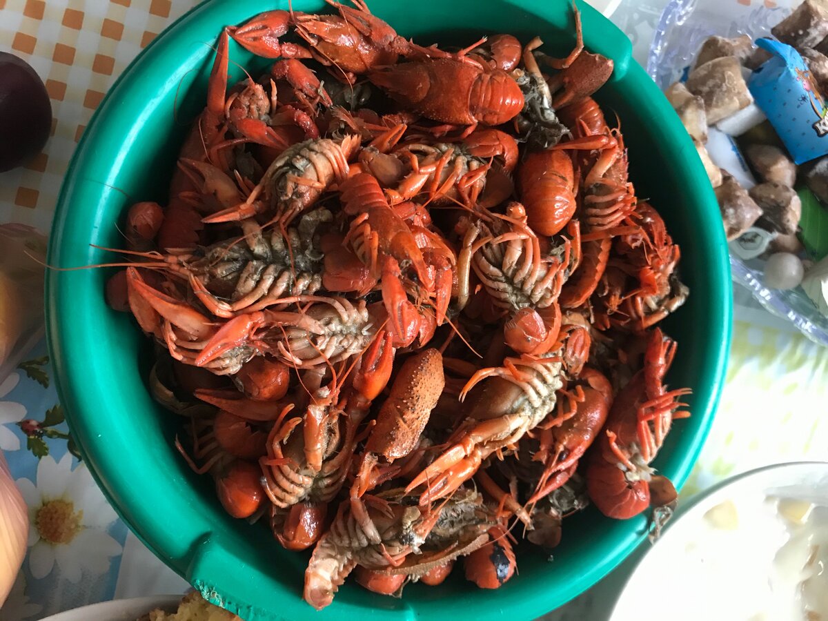 Раки