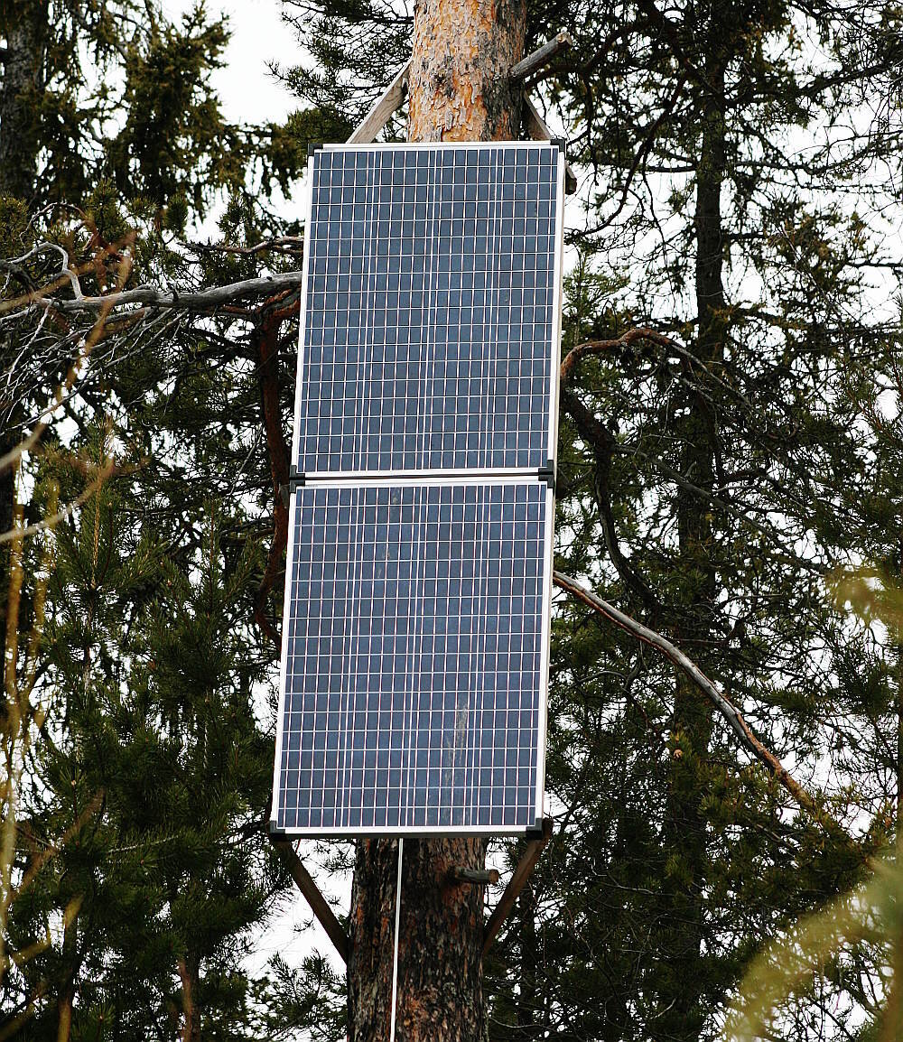 Две панели по 100 Вт, выше планируются ещё 2 панели по 100 Вт. Фото автора.