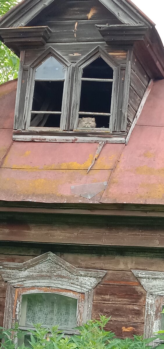 Фото автора. Стекол нет, зато обзор лучше