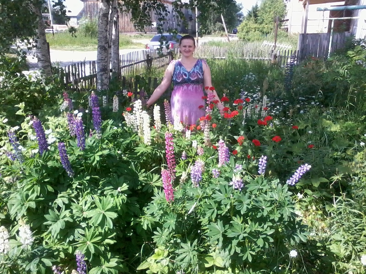 Цветы, которая посадила моя свекровушка. Умная, весёлая, талантливая женщина.