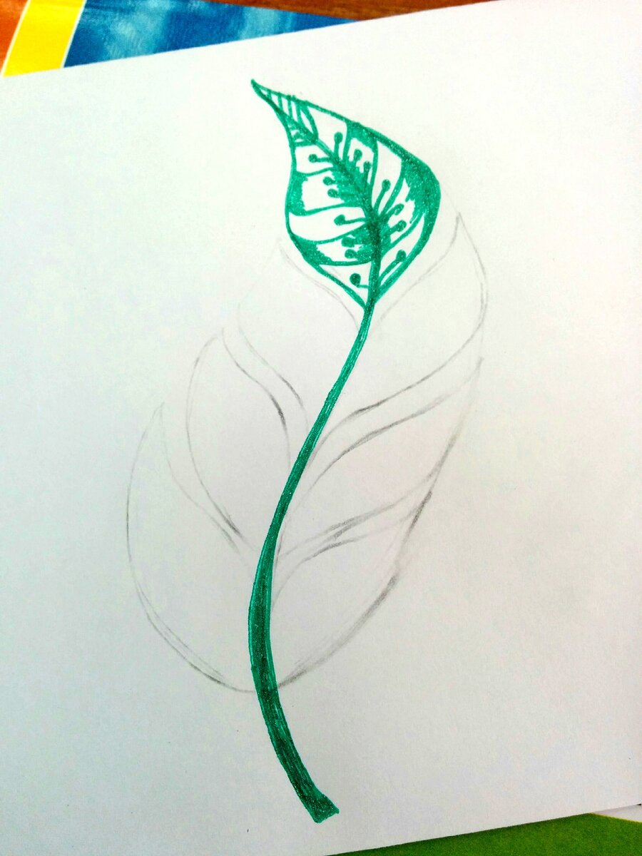 Как нарисовать тату цветочный узор карандашом поэтапно
