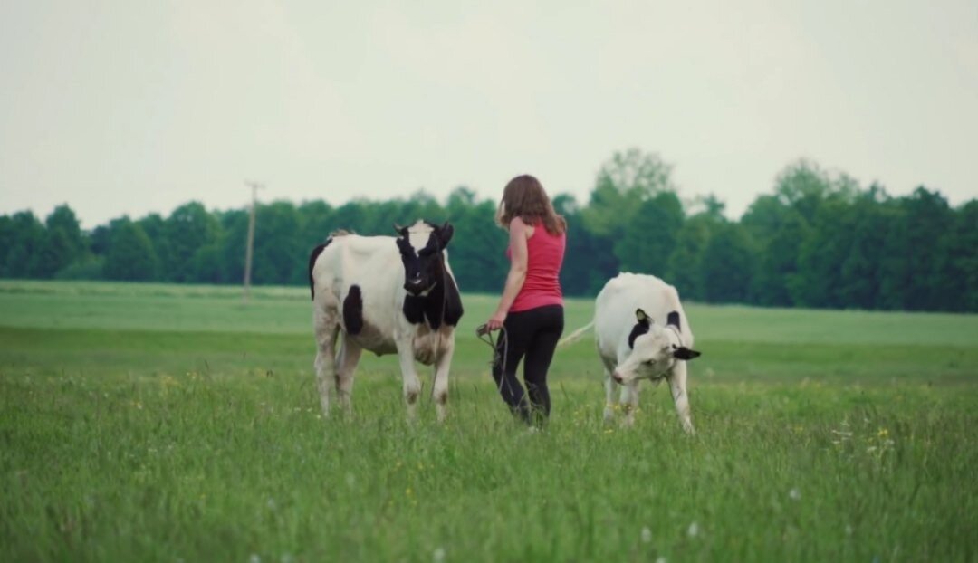 Фото взято с YouTube