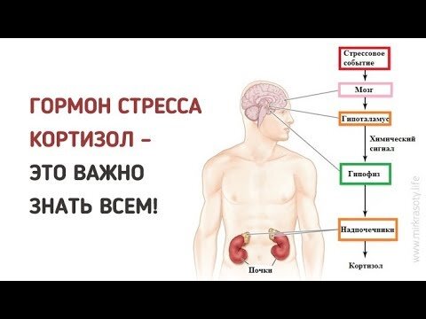 взято с YouTube