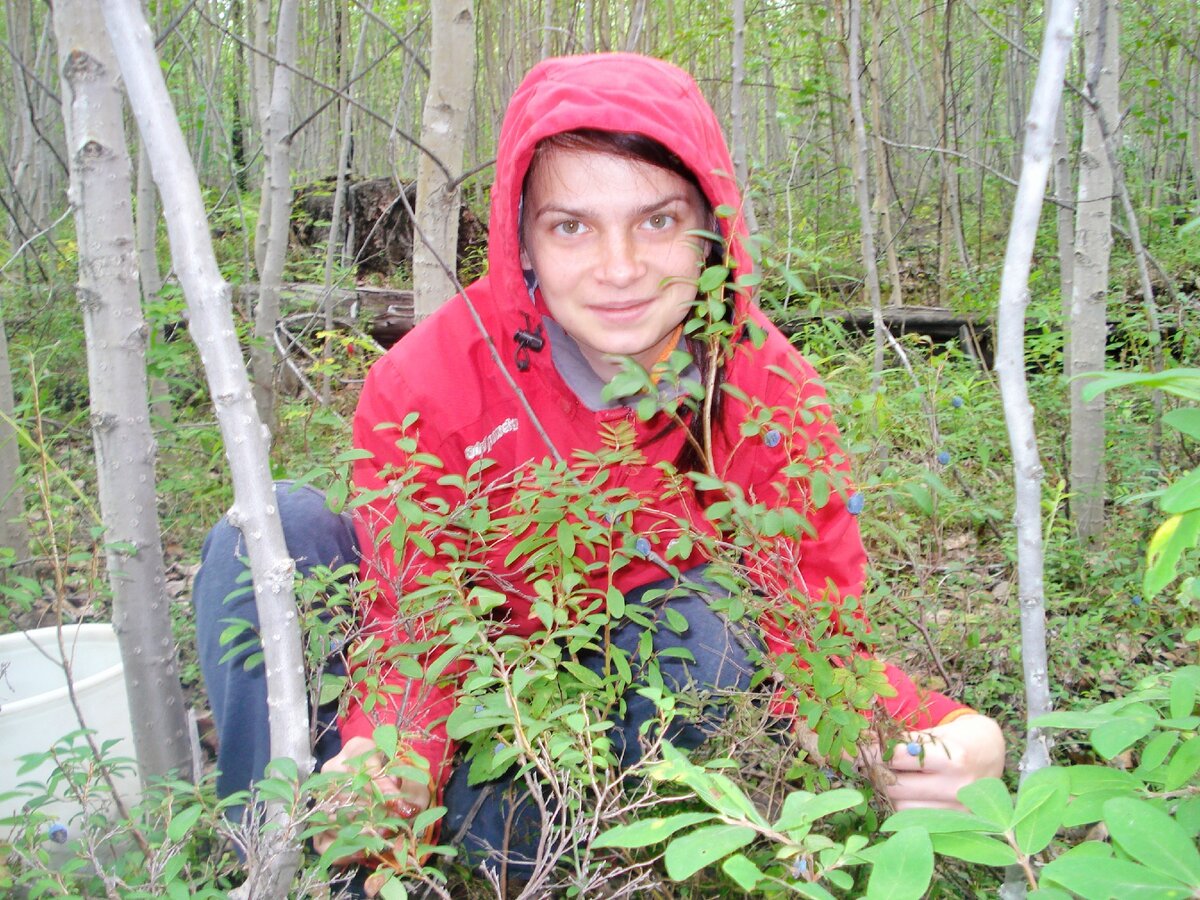 по ягоды ходить