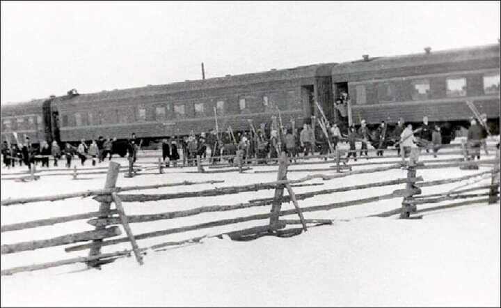 Фото из открытых источников Яндекс