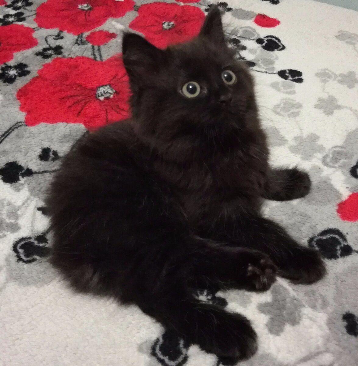 Космос 2,5 года назад