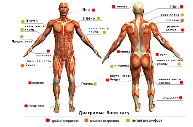 Болезненные места для татуировок