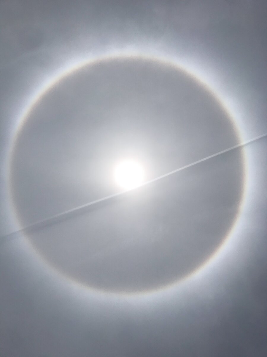 Гало во Вьетнаме 16.06.2020