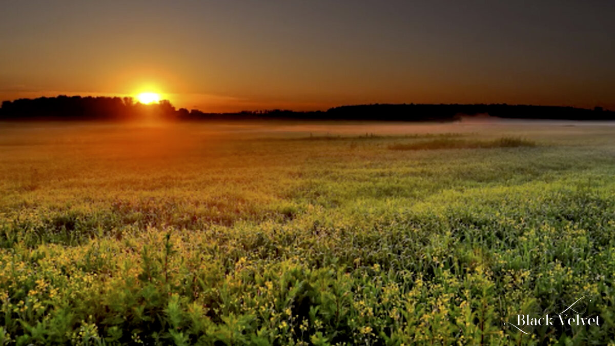 Читает: Сергей Городинец