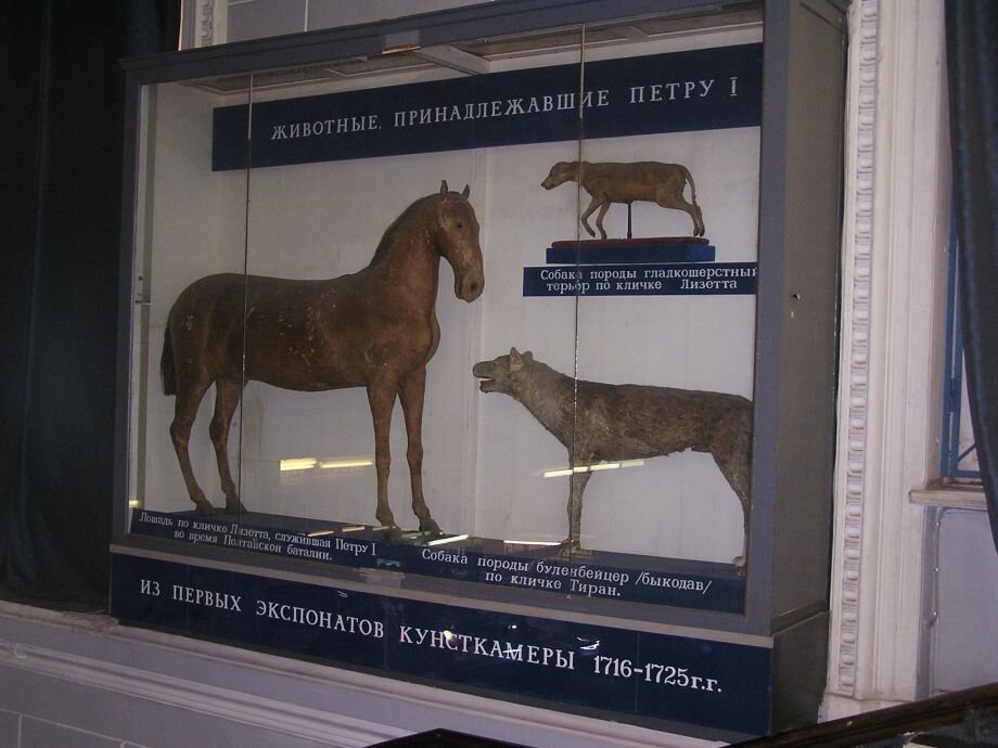 Изображение: saint-petersburg.ru