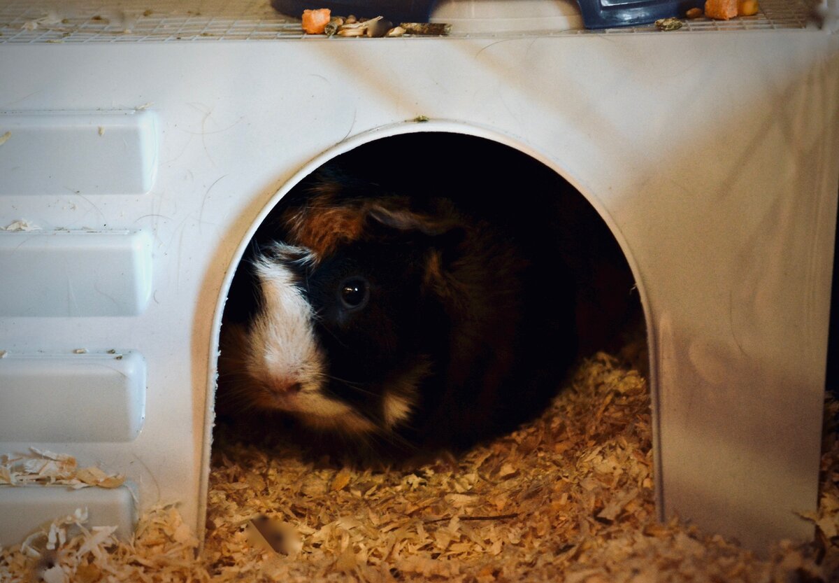 Гермиона 10 месяцев