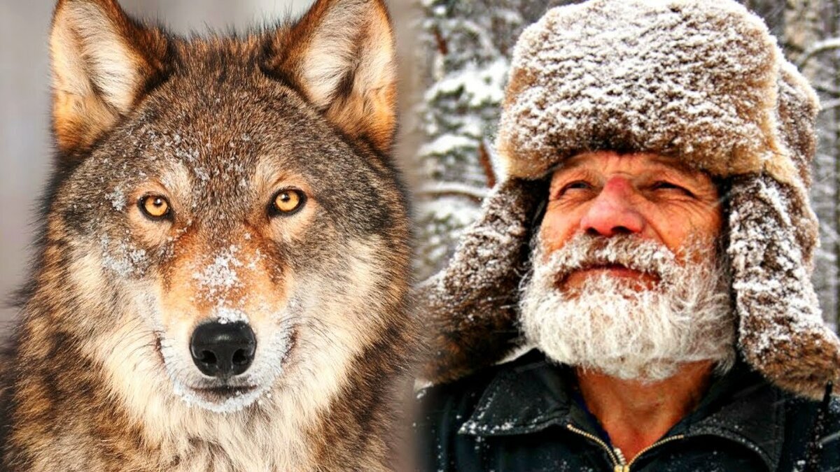 Фото из открытого доступа