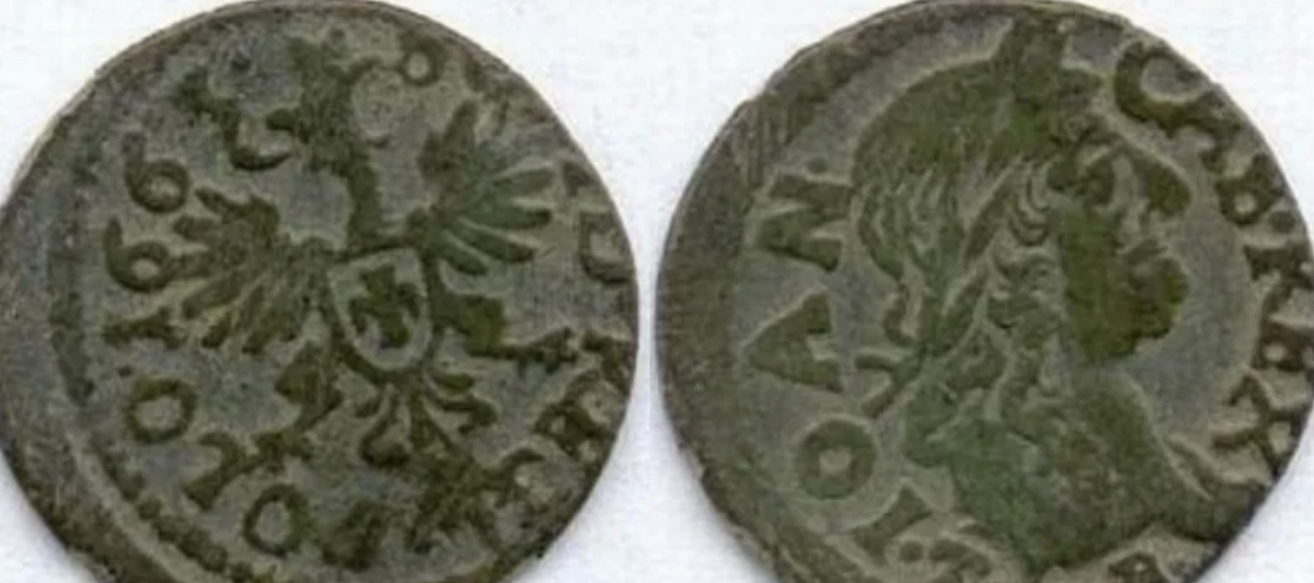 Монеты датированы правлением Сигизмунда III Васа (1587- 1632 годы). Фото yandex.ru