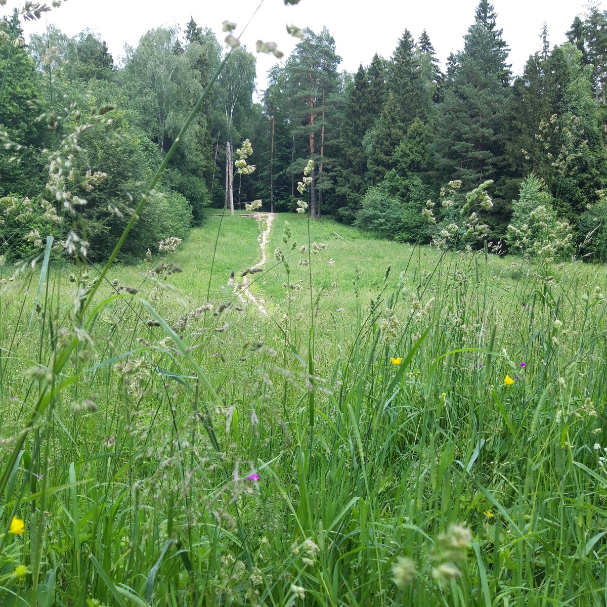 Беременность - удивительный, чудесный период и не во всём стоит себя ограничивать