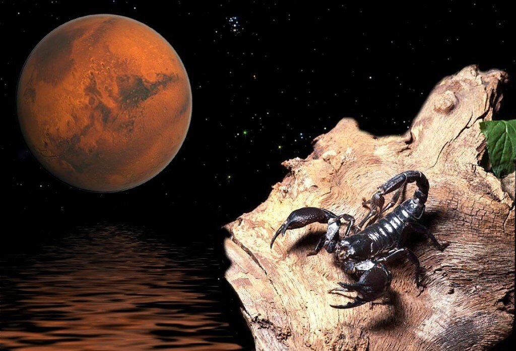 Зодиакальный знак Скорпион