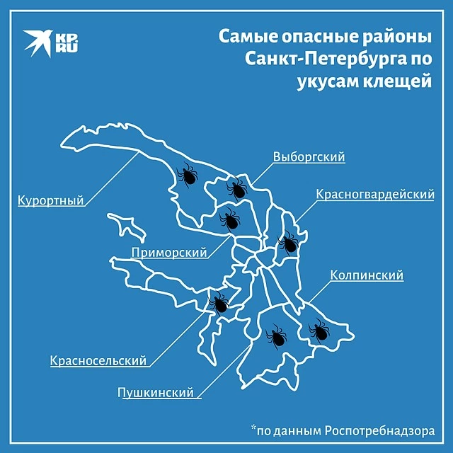 Фото: "Комсомольская правда"