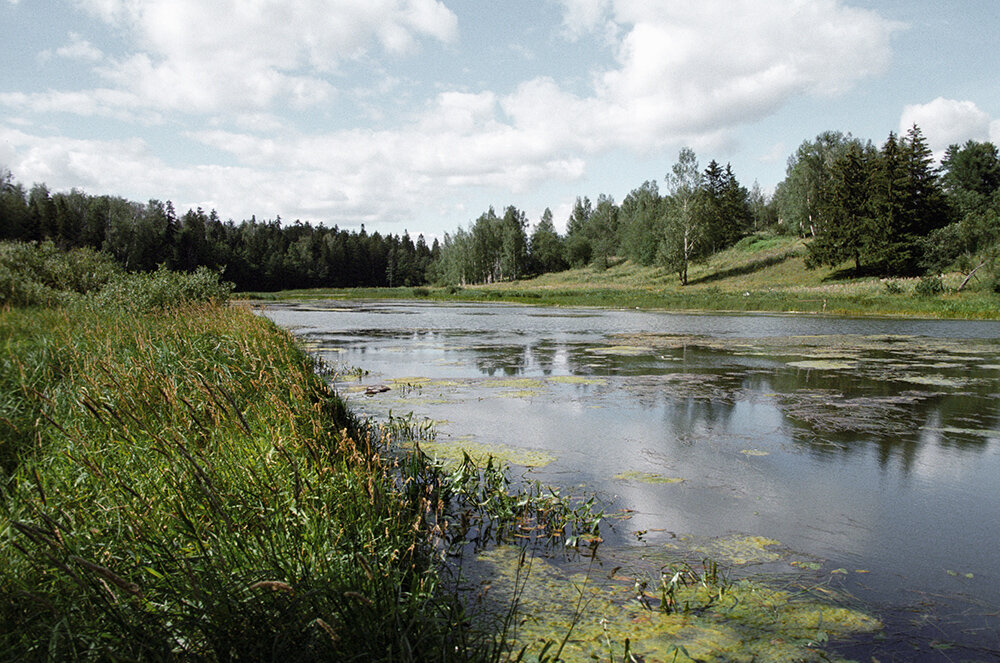 Абрамцево река воря