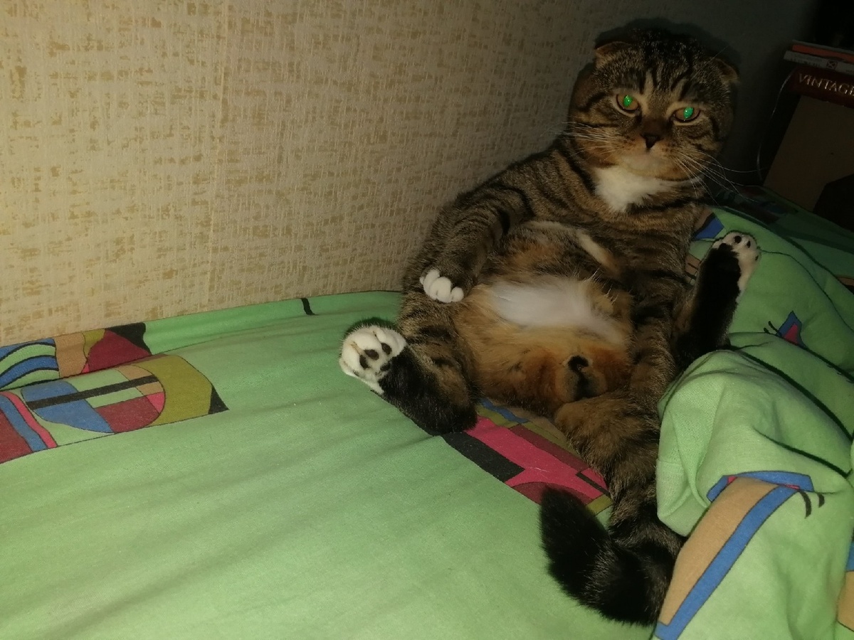 ну привееет