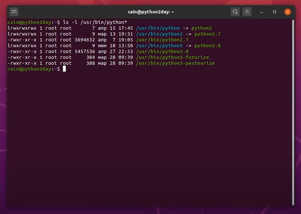pythontoday.ru