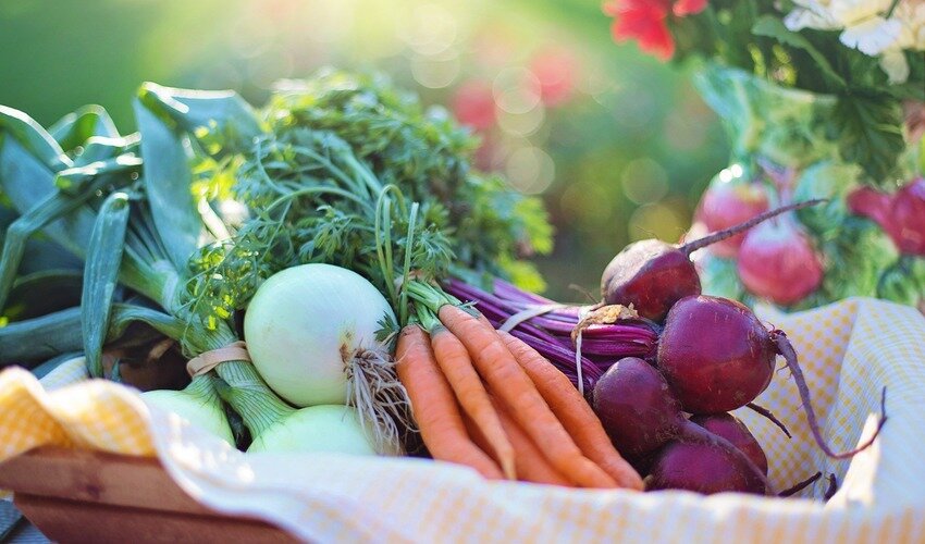 Фото: pixabay.com