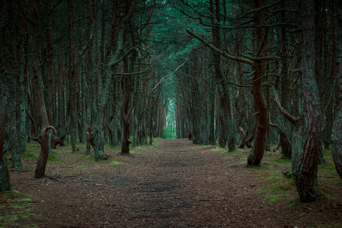 источник: travel-dom.ru 